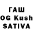 A PVP VHQ Jasmina Kazakbaeva
