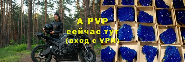 ешки Гусев