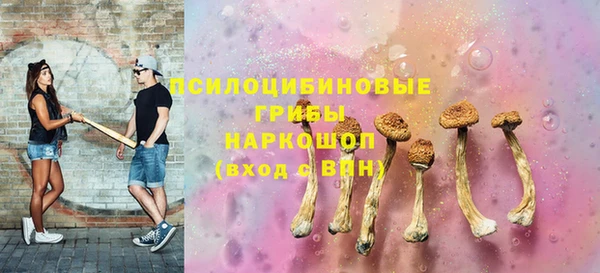 СК Верхний Тагил