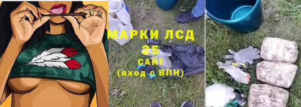 ГАЛЛЮЦИНОГЕННЫЕ ГРИБЫ Струнино