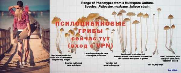 твердый Гусиноозёрск