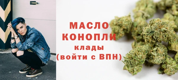 гашик Гусь-Хрустальный