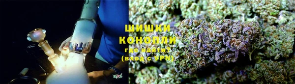 ГАЛЛЮЦИНОГЕННЫЕ ГРИБЫ Струнино